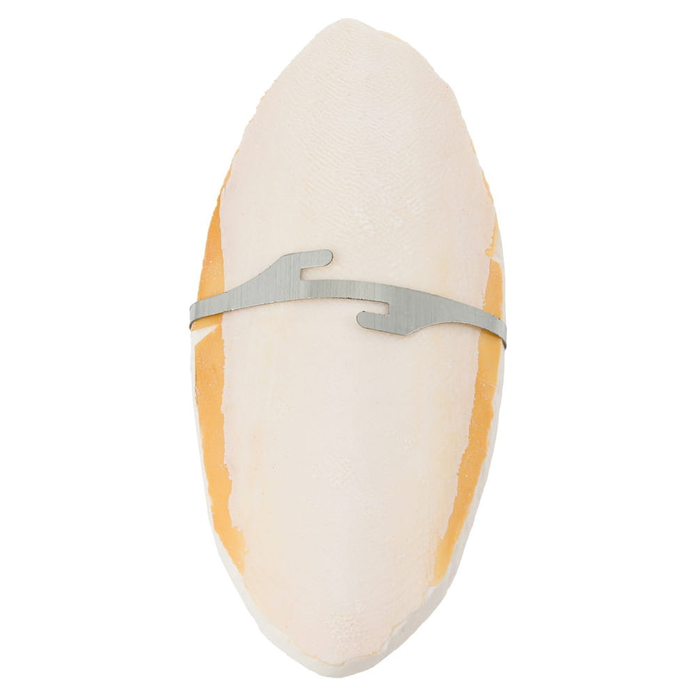 Vitapol Sepia Bogata w Wapno i Minerały Dla Ptaków i Gadów 14-16cm Uchwyt